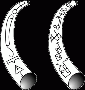 Tuba-Veneris horn of Venus