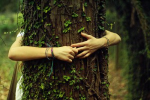 Twee armen omhelzen een boom