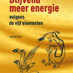 Recensie: Blijvend meer energie volgens de vijf elementen