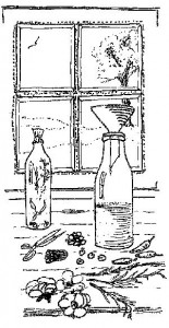 Drawing by Merlin of bottles for perfume