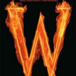 Review: Witch & Wizard