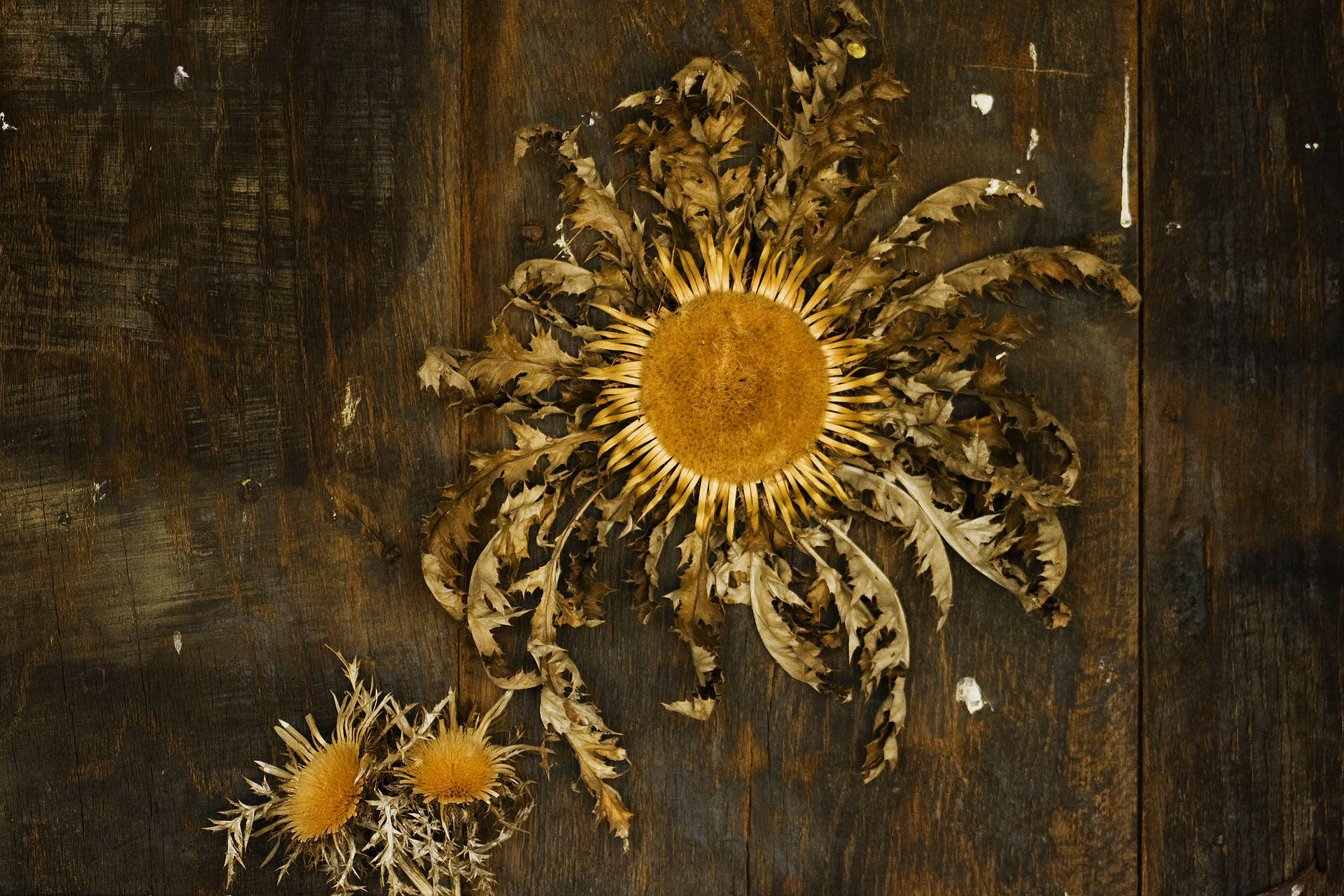 The Underworld in the Basque Mythology | Wiccan Rede