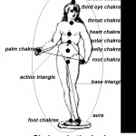 Chakras: the energy centers of the human body