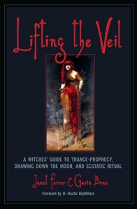 Lifting the Veil book cover