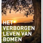 Recensie: Het verborgen leven van bomen