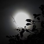 2015 Volle maan van de Klif