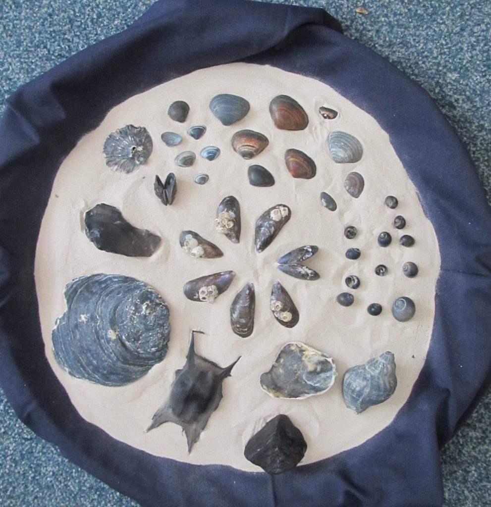 collage van schelpen, rogge-ei en git op een dienblad met zand