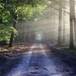 Weekend workshop: Connecting to Spirits of Land