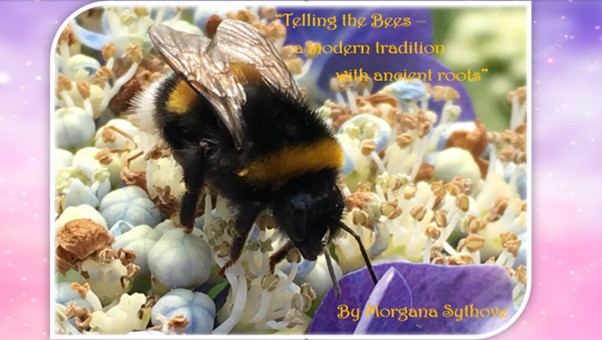 Telling the Bees – a modern tradition with ancient roots