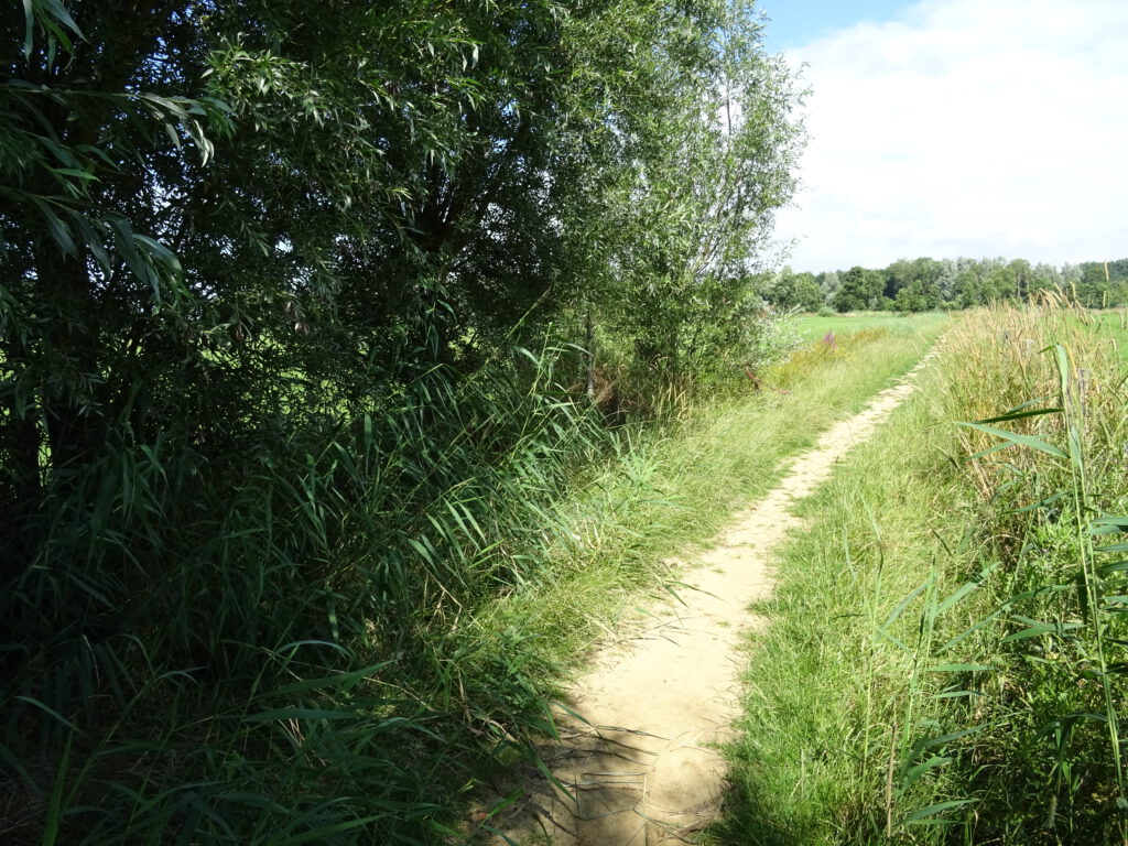 het struinpad in het bod, nu droog zand