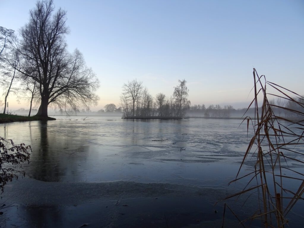 De plas met wat ijsvliezen op het water, en boompjes aan de randen en op eilandjes in de plas.